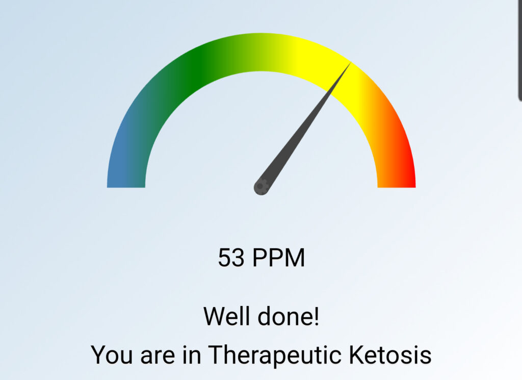 Screenshot aus der Ketonix App die einen Messwert von 53 PPM anzeigt.